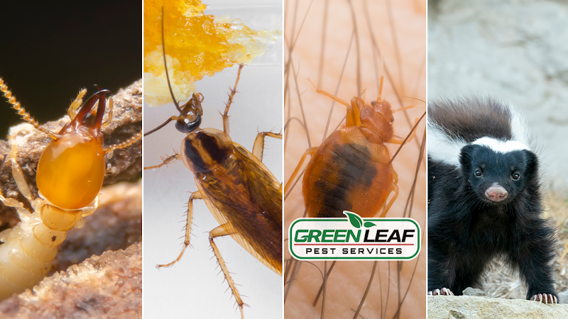 Green Leaf Pest Services