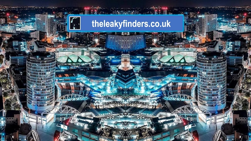 Contractor The Leaky Finders (Birminghams Roof Repair Company) in Birmingham England