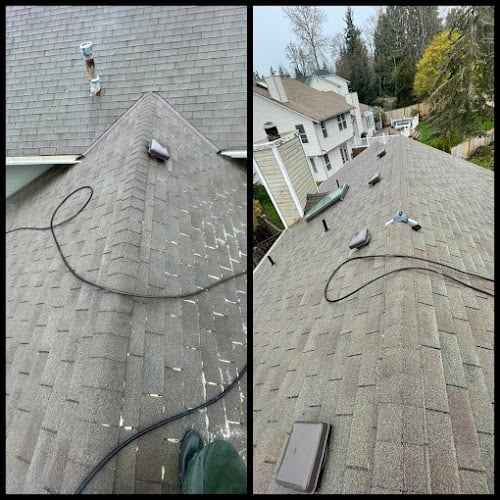 Experienced Roof & Gutter Cleaning - Tacoma