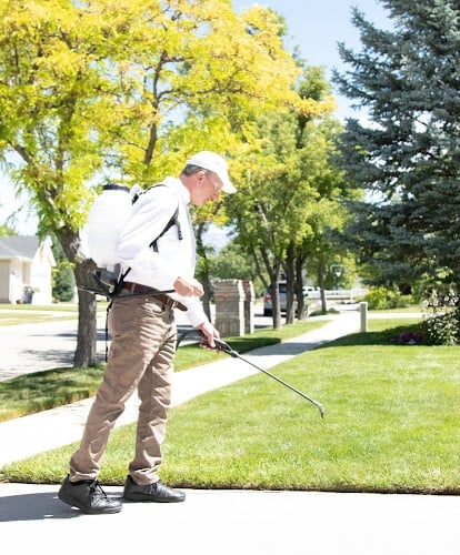 Turbo Pest Control - Stafford VA