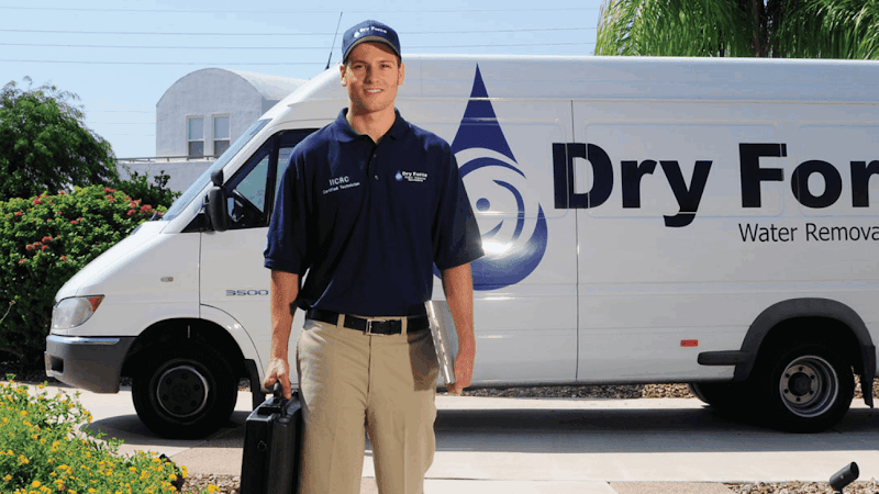 Dry Force Water Removal Specialists