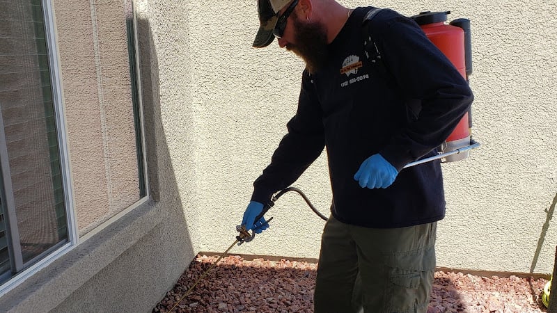 Contractor All In Pest Solutions in Pahrump NV