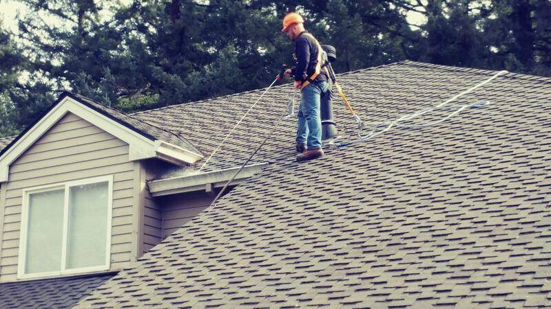 Pacific Diligent Services Roof Moss Removal & Gutter Cleaning