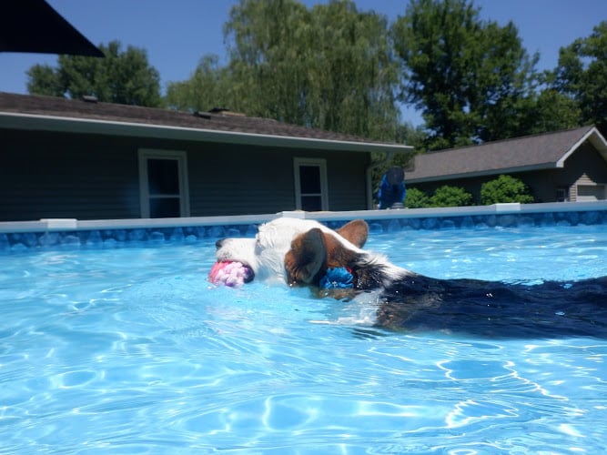 Illini Pools