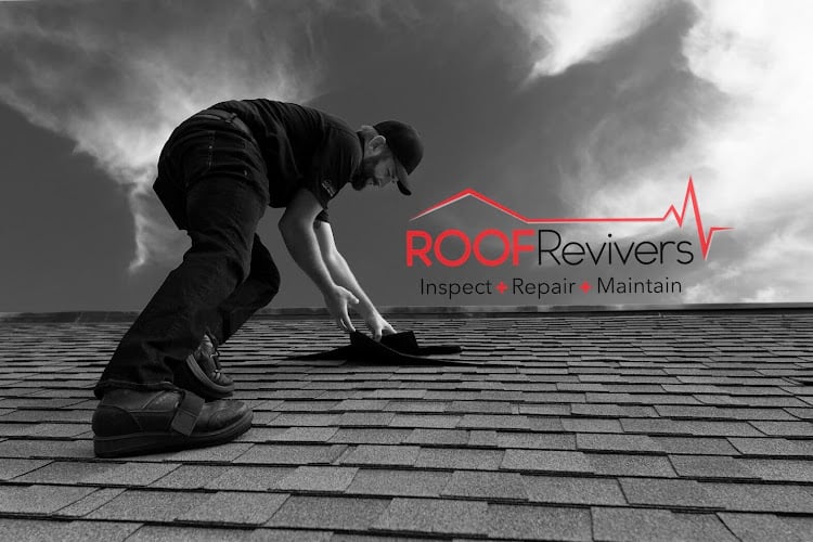 Roof Revivers