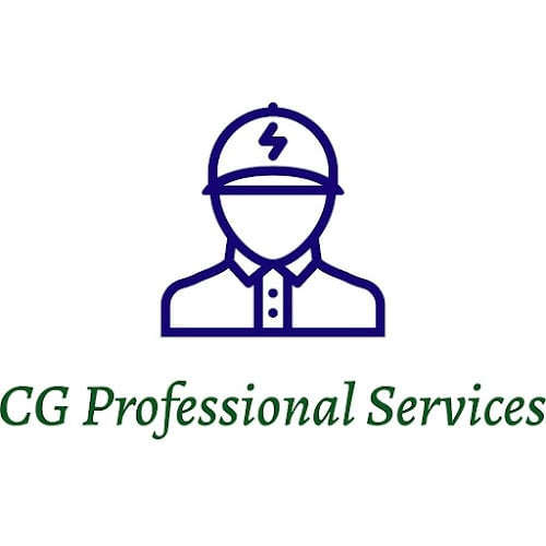 CG PROFESSIONAL SERVICES