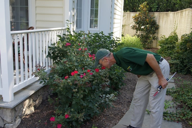 Contractor B.O.G. Pest Control in Edgewater MD