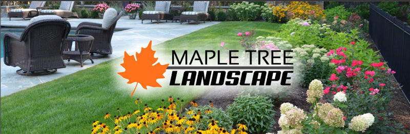 Contractor Maple Tree Landscape in Wayland MA