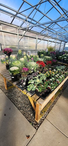 Cashman Nursery