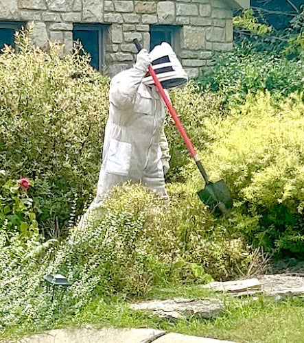 Contractor Central Ohio Bug Extermination in Columbus OH