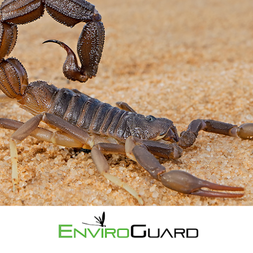 EnviroGuard Pest Control