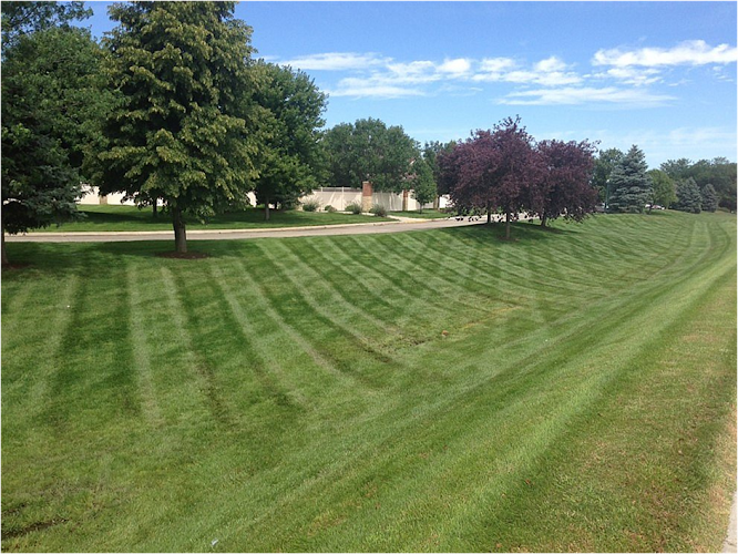 Contractor Executive Outdoor Living, LLC. in Bennington NE