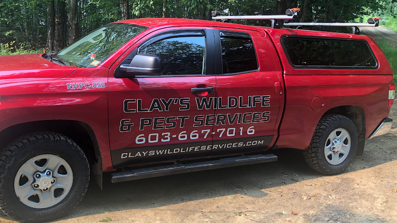 Clays Wildlife & Pest Services