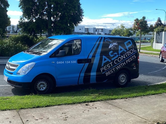 ASAP Pest Control Gold Coast