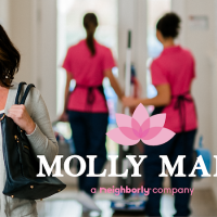 Molly Maid of Greater Charleston