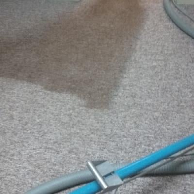 Contractor Gagliardi Carpet Cleaning Sellersville in Sellersville PA