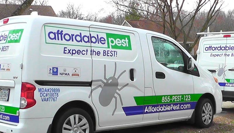 Affordable Pest