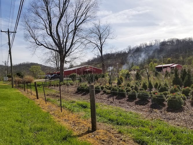 Contractor Raymond Landscape Nursery in Covington KY