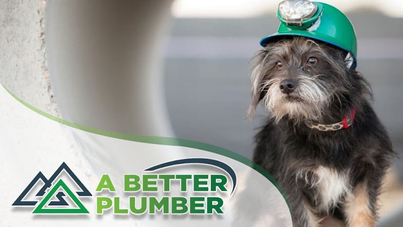 Contractor A Better Plumber (an Absolute Plumbing Company) in Denver CO