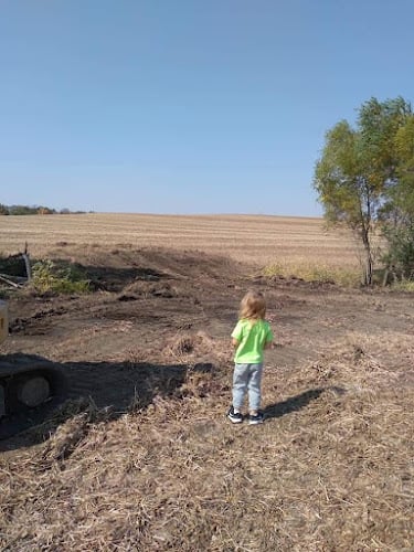 Bs Excavation and demolition