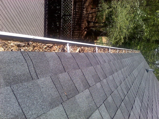 Contractor Atlantas Best Gutter Cleaners in Norcross GA