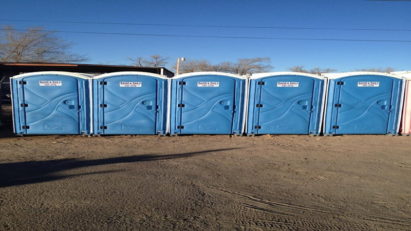 David & Sons Portable Toilets, LLC