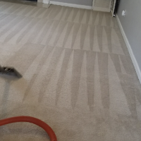 E&M Carpet Cleaning