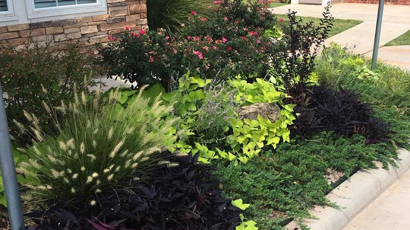 Elkhorn Landscaping & Lawn Care