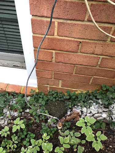 Contractor Pest Chase Termite and Pest Control Inc. in Alexandria VA