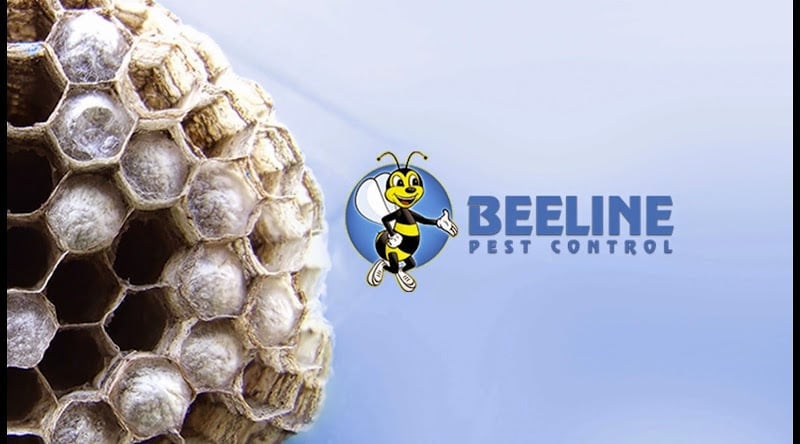 Contractor Beeline Pest Control in Clearfield UT