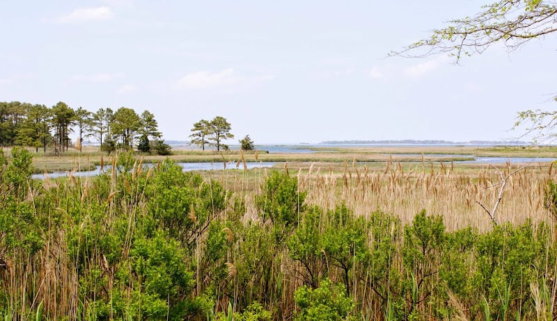 Contractor Bay Forest at Bethany Beach in Ocean View DE