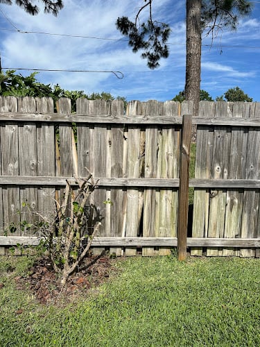 Good Looking Fence