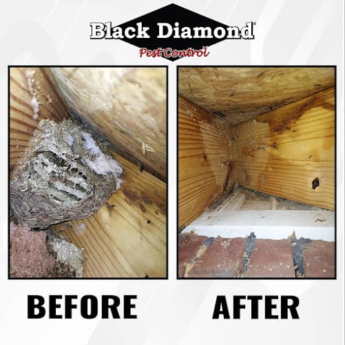 Contractor Black Diamond Pest Control in Bowling Green KY