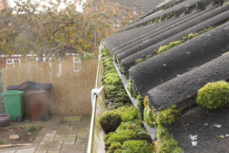 All Seasons Gutter Cleaning of Cheltenham