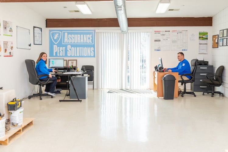 Assurance Pest Solutions