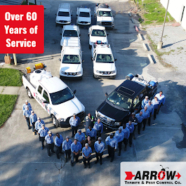 Arrow Termite & Pest Control