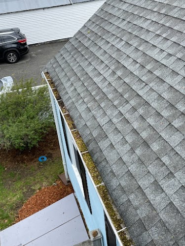 Northshore Gutter Cleaning