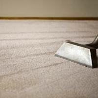 Contractor Amazing Carpet Cleaners in Mandeville LA