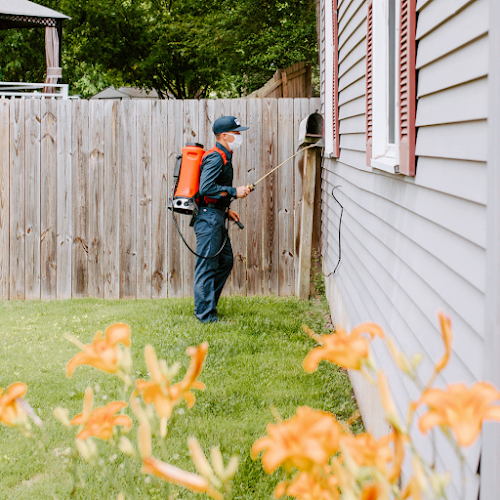 Contractor Fox Pest Control in Lexington KY