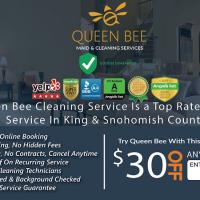 Contractor Queen Bee Cleaning Service in Lynnwood WA