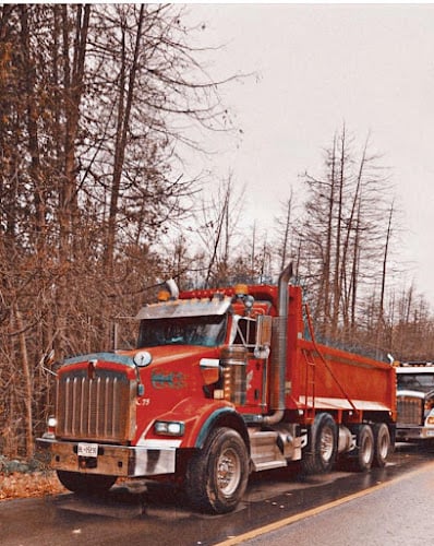 cheema and sons transport