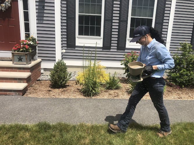 Insight Pest Solutions - New Hampshire