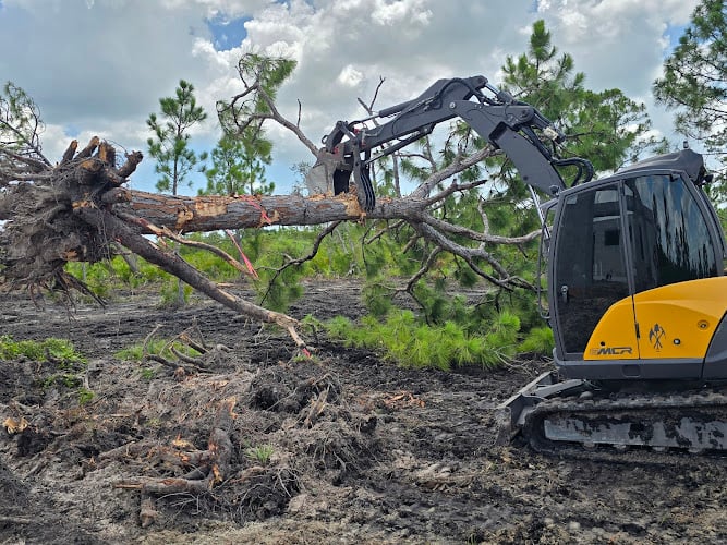 Contractor Amazing Land Clearing & Development, Excavating, Grading, Forestry Mulching, Demolition and more of Punta Gorda in Punta Gorda FL