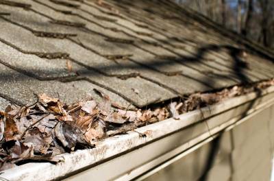 Mile High Gutter Cleaning