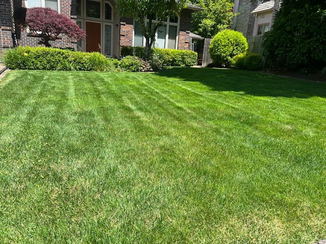 Montana Landscaping Maintenance, LLC