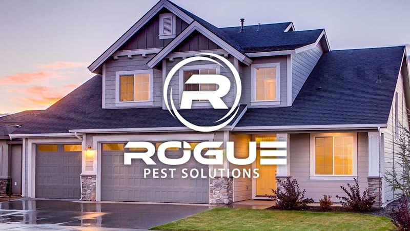 Rogue Pest Solutions