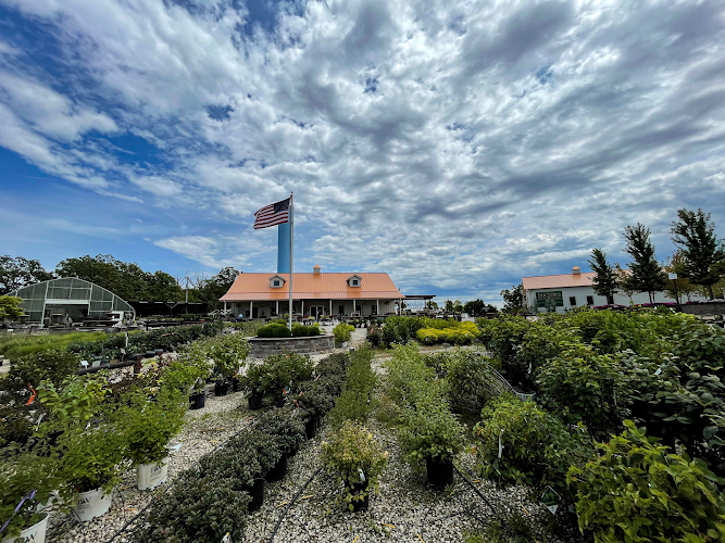 Doctors Lawn and Landscape