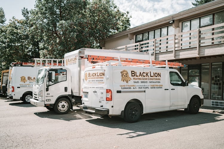 Black Lion Heating & Air Conditioning