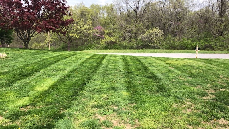 MOLSL (Missouri Lawn Snow Landscape)