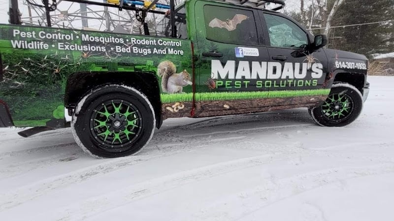 Mandaus Pest Solutions